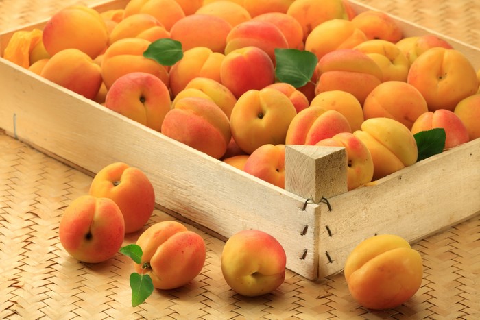 Apricots in a wooden crate