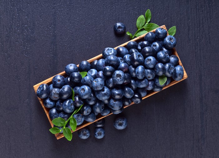 Blueberries in a wooden bowl on a gray background
