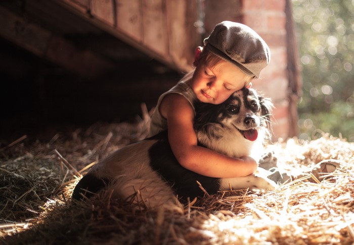 Boy hugging a dog in a barn with hay
