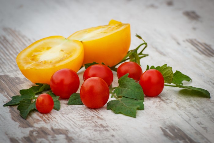 Yellow and red tomatoes with foliage on wood
