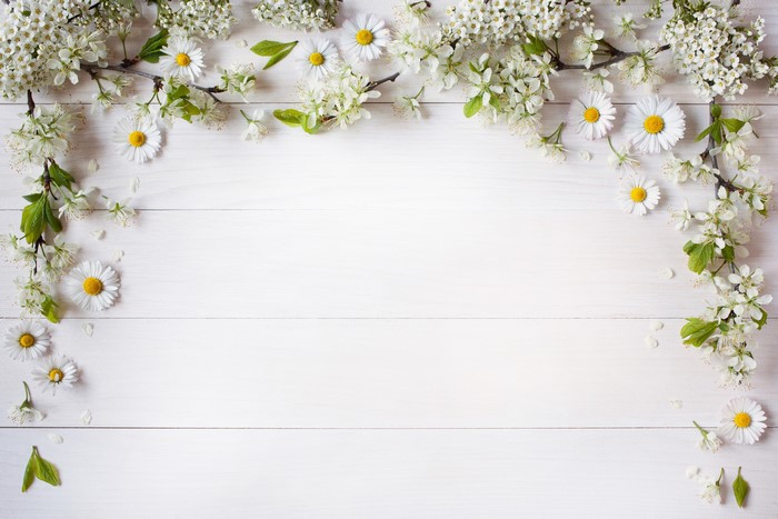 White flowers and daisies on a white wooden surface