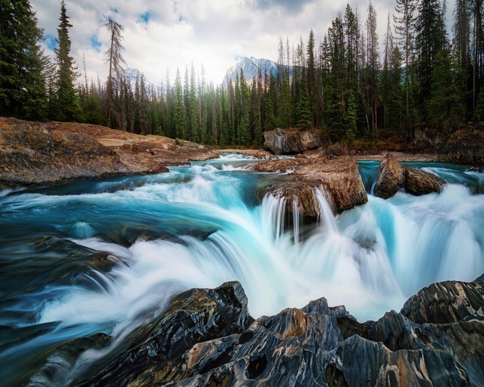 Turquoise Waterfall Cascading Over Rocks in a Forest