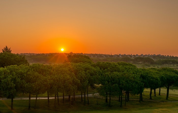 Sunrise over trees in Rompido, Andalusia, Spain
