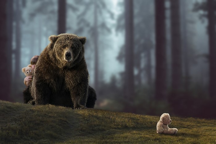 Girl with teddy bear behind a brown bear in a forest