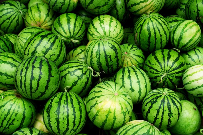 4K Watermelons