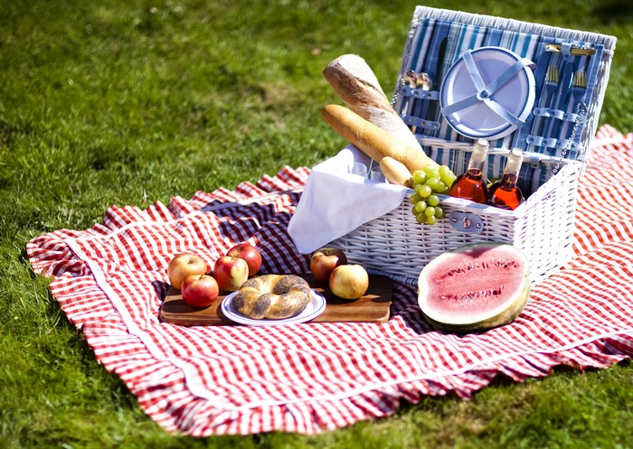 Picnic basket with food and drinks on a checkered blanket