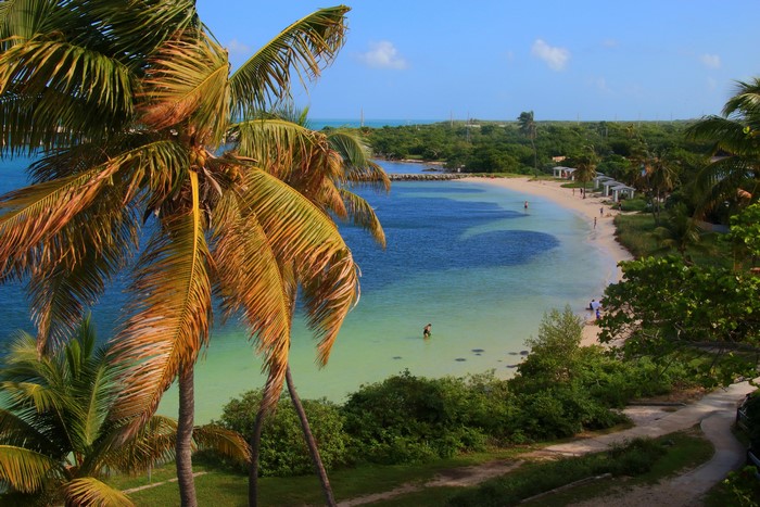 Bahia Honda State Park, Florida Coast with Palm Trees