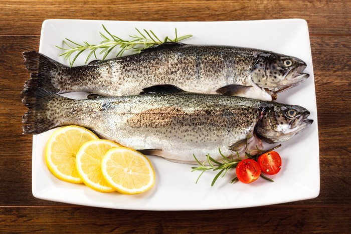 Two raw trout on a white plate with lemon slices and rosemary
