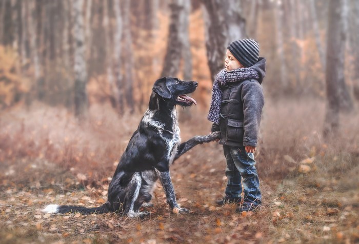 Boy and dog in autumn forest