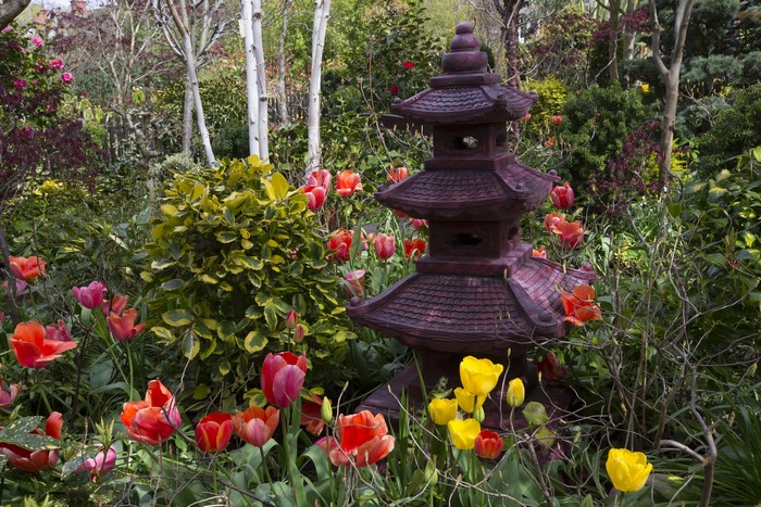 Japanese lantern in a garden with tulips in Walsall, England