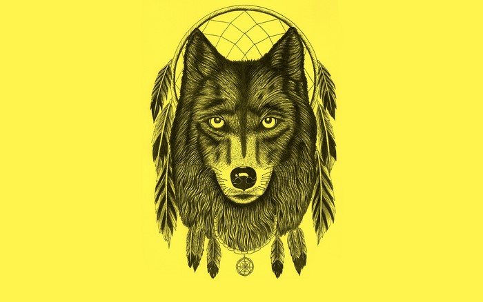 Wolf with Dreamcatcher and Feathers