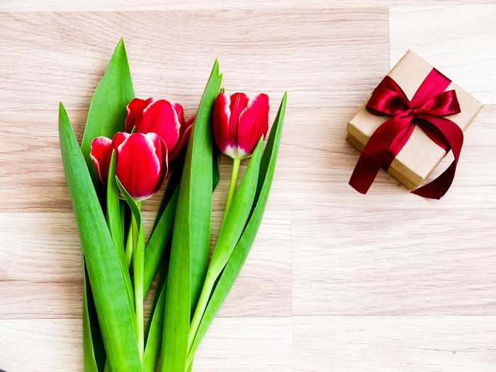 Red Tulips and Gift Box
