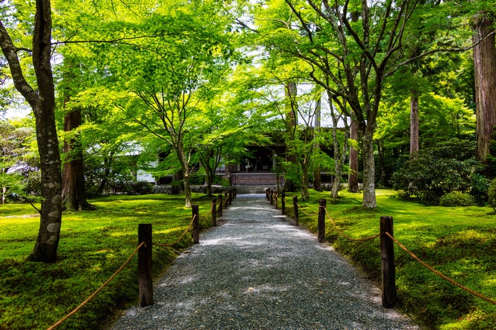 Gravel path through a Japanese garden with trees