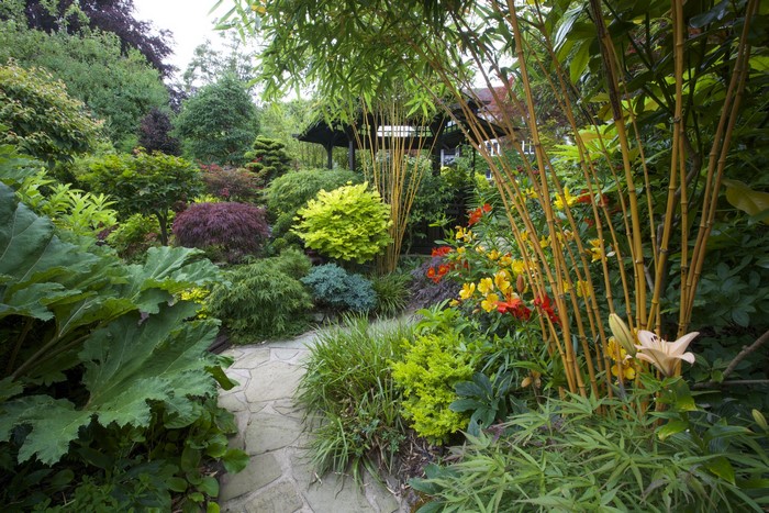Walsall Garden England with bamboo and flowers