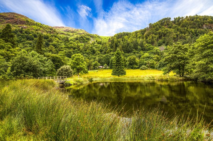 Lake and forest in Minffordd, Wales, United Kingdom