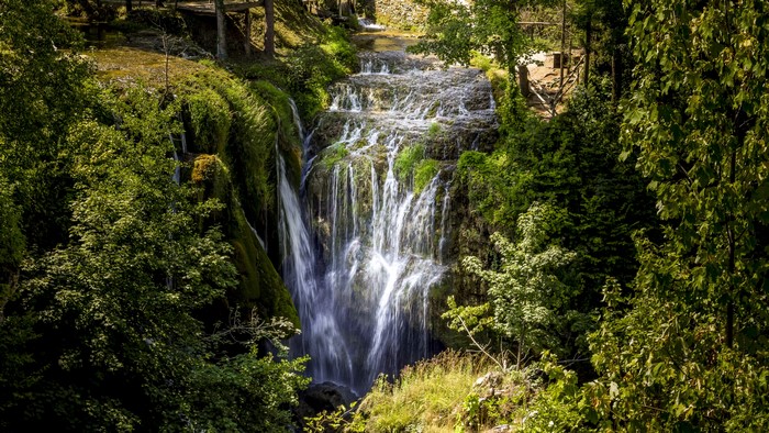 Waterfalls cascading down a mossy crag surrounded by trees