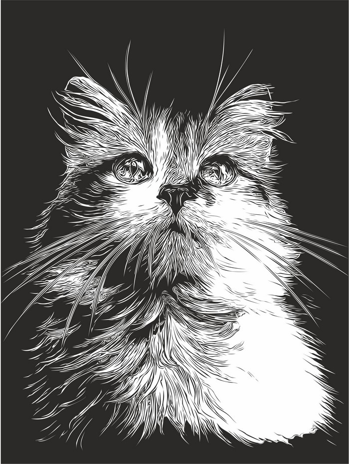 Black and white painting of a cat with whiskers