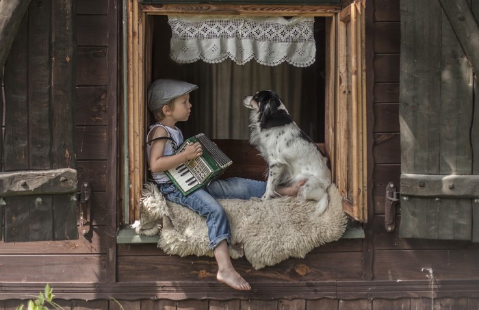 Boy playing accordion with dog in window
