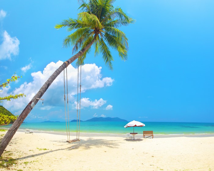 Tropical beach with palm tree swing and umbrella