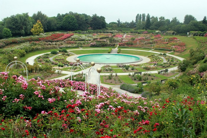 Rose garden with fountain in Caen, France