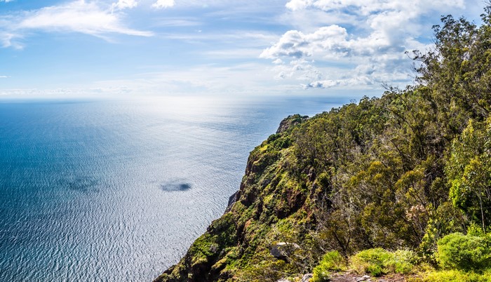 Ocean cliff with trees and clouds in Madeira, Portugal