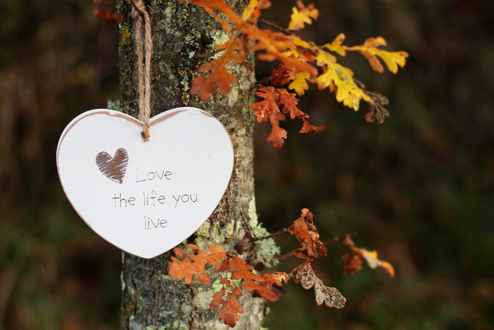 Heart ornament with quote on a tree