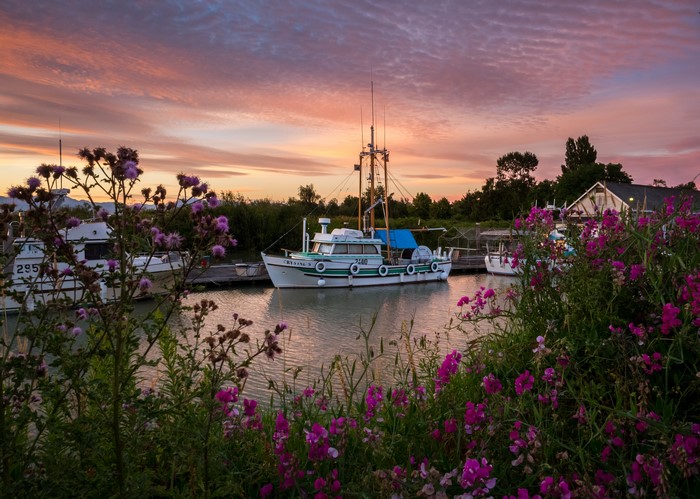 Fishing boats at Steveston Marina during sunset