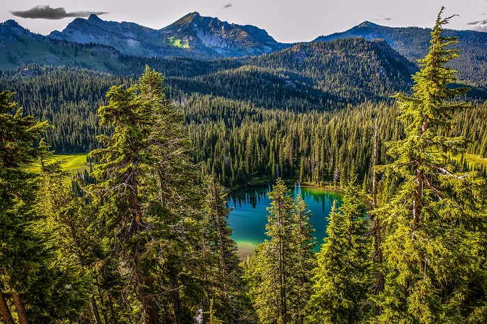 Lake in Mt. Rainier National Park with Mountains and Forests