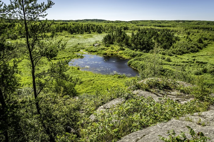 Lake and forest landscape in Ontario, Canada