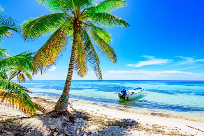 Tropical beach with palm trees and a boat