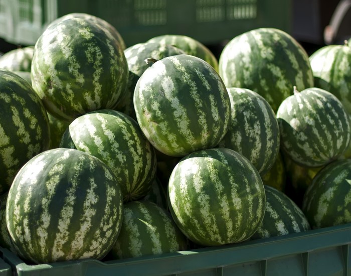 Pile of watermelons in a green crate