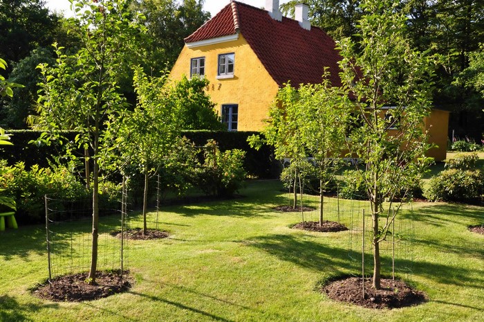 Yellow house with red roof and trees in garden, Bornholm, Denmark
