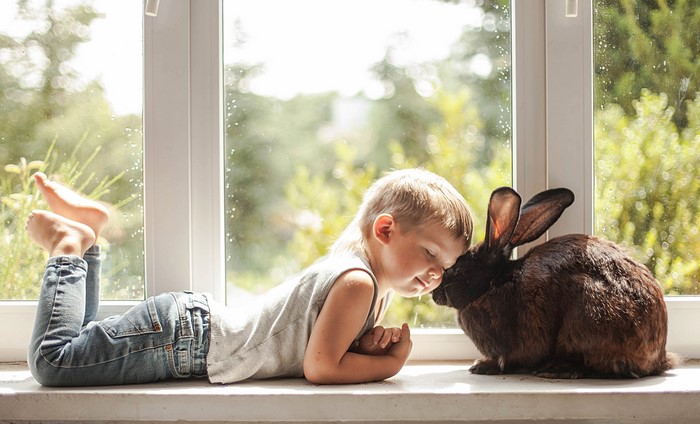 Boy and rabbit on a windowsill