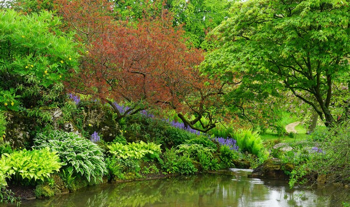 Sezincote Park England pond with trees and shrubs