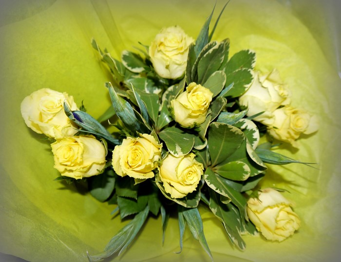 Bouquet of yellow roses with green leaves