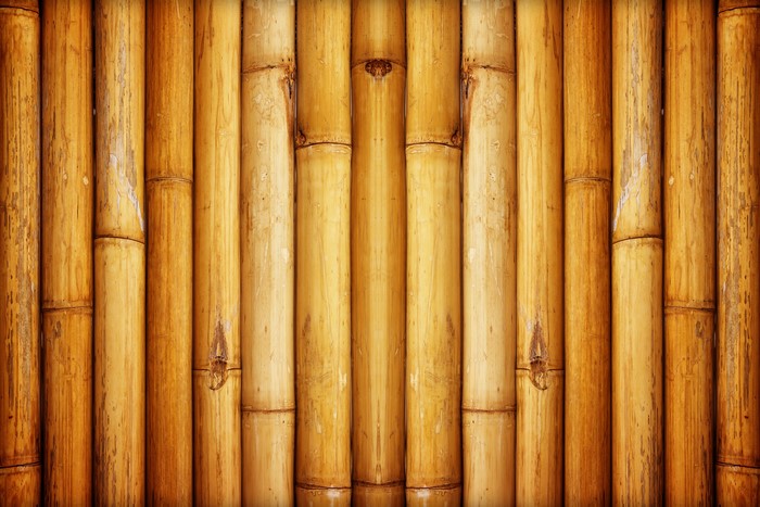 Bamboo Texture 4K