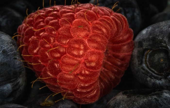Macro shot of a raspberry surrounded by blueberries