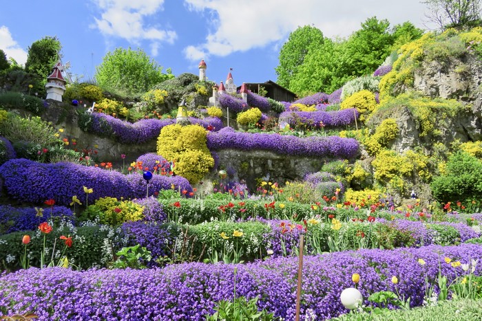 Colorful flower garden with purple and yellow blooms in Betzenstein, Germany