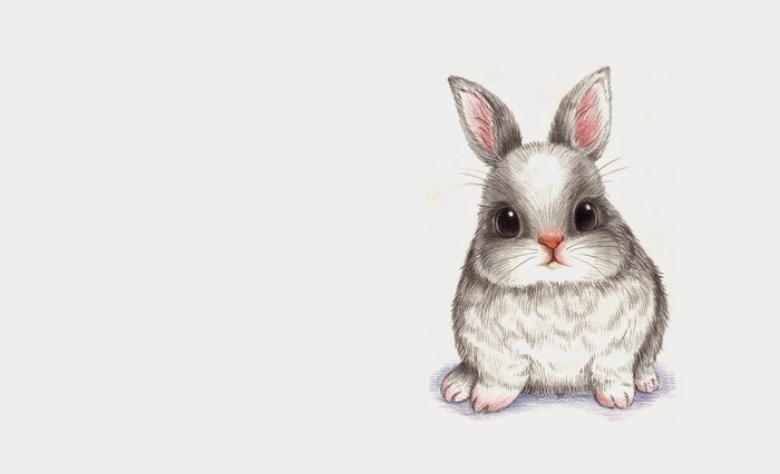 A cute drawing of a fluffy bunny rabbit