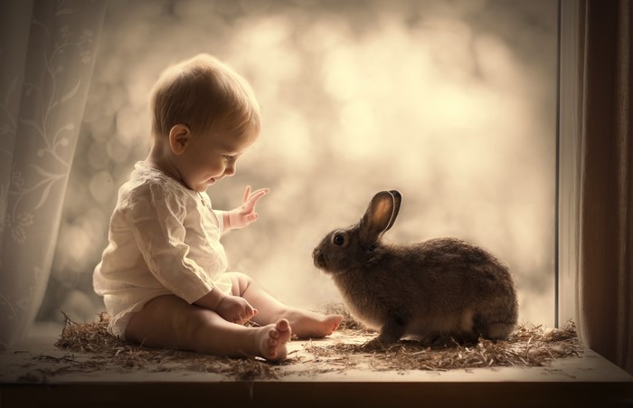 Baby and Rabbit by the Window