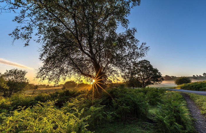 Sunrise over English countryside with sun rays
