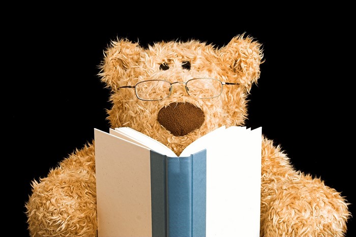 Teddy bear wearing glasses reading a book