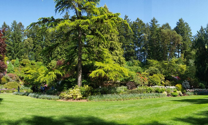 Butchart Gardens with manicured lawn and trees