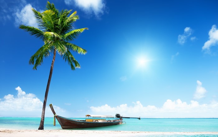 4K Tropical Beach with Palm Tree and Boat
