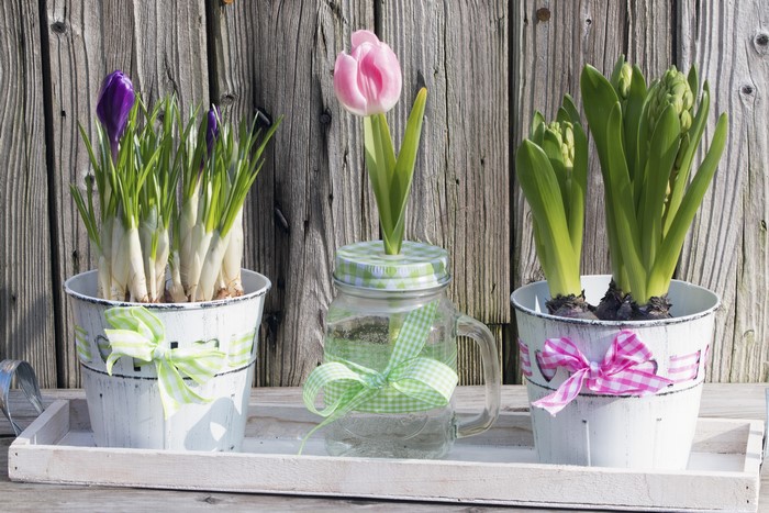 Spring Flowers in Decorative Pots