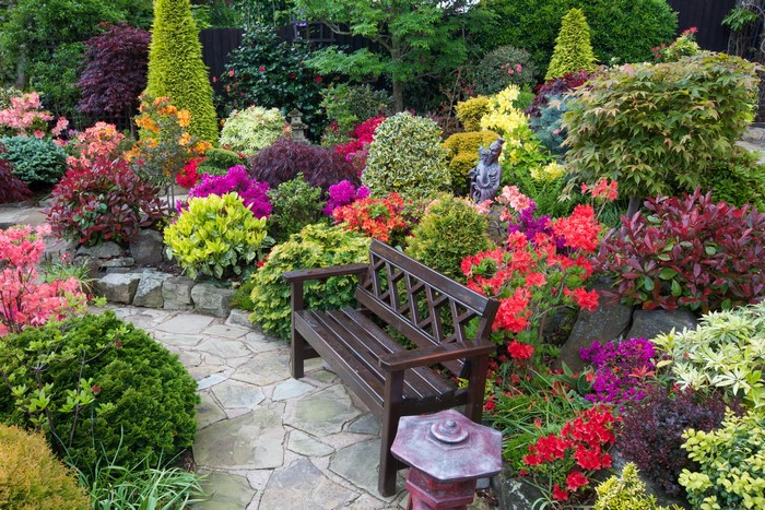 A colorful garden with a wooden bench in Walsall, England