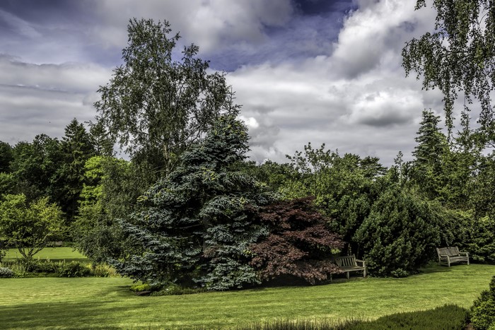 Garden Harlow Carr, United Kingdom with trees and lawn