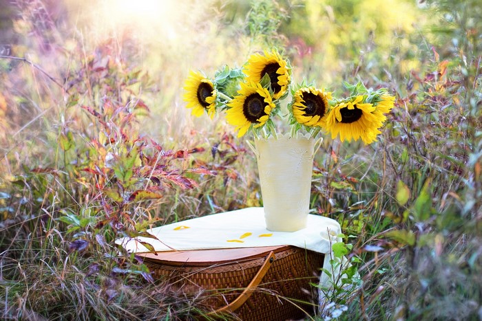 Sunflowers in a vase on a wicker basket