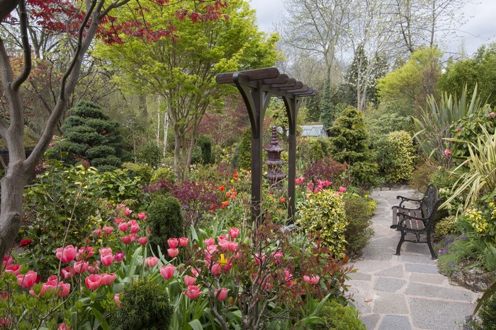 Garden with tulips and a bench in Walsall, England