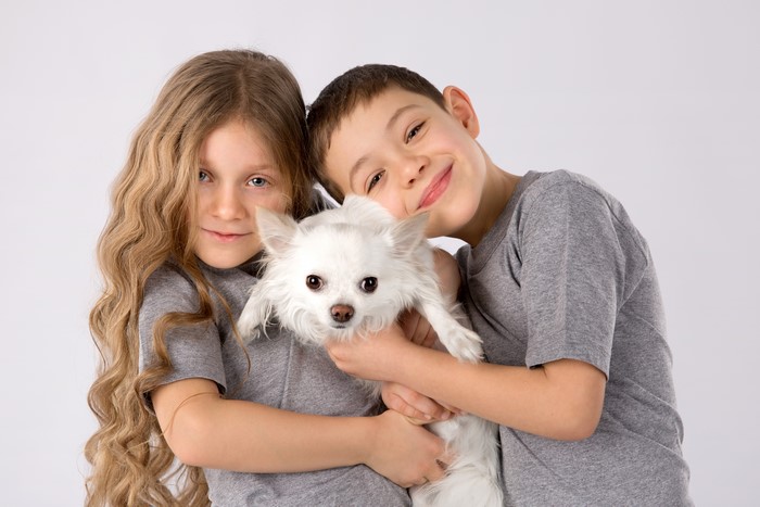 Children with Chihuahua on Gray Background